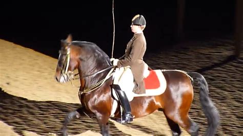 The Spanish Riding School of Vienna - YouTube