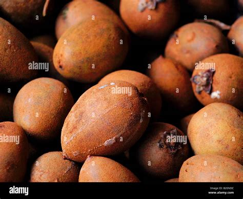 chico fruit, exotic fruit Stock Photo - Alamy