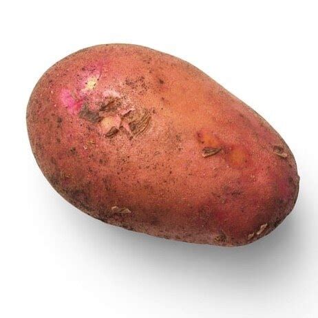 Red Potatoes Nutrition Facts- Feel Peak | Feel Peak