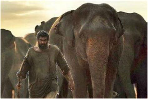 Rana Daggubati: 'Haathi Mere Saathi' has potential to bring audience to ...