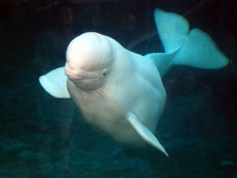 Photos of Mystic Aquarium - Mystic