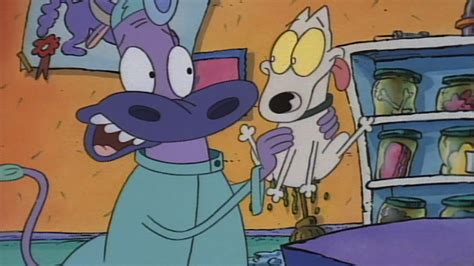 Watch Rocko's Modern Life Season 2 Episode 4: Rocko's Modern Life - Down the Hatch/Road Rash ...