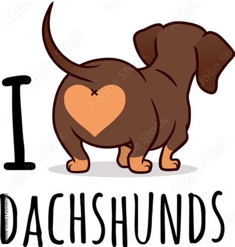 Cute dachshund dog vector cartoon illustration isolated on white, "I love dachshunds" text ...