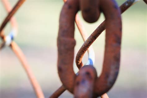 Free stock photo of chain, chain link fence, rust