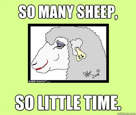 So Many Sheep, So Little Time. - sheila the ruminating sheep - quickmeme