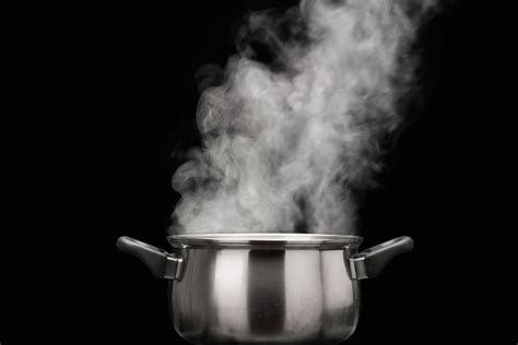 10 raisons de vous mettre à la cuisson vapeur - Greenweez magazine