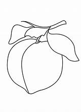 Coloring Pages  Free Peach Sheet For Kids sketch template