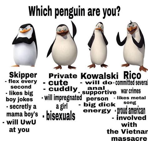 Penguins Of Madagascar Meme