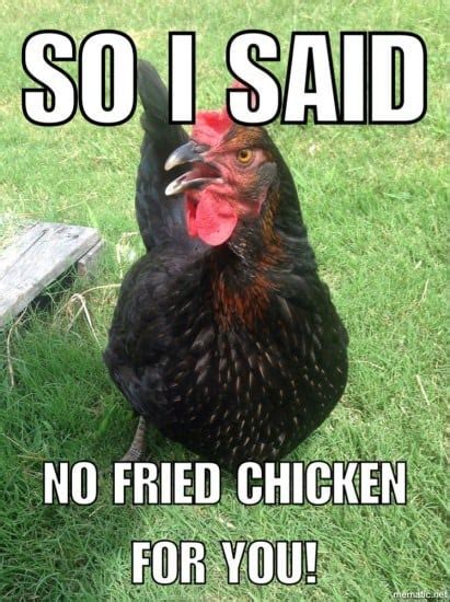 20 Chicken Memes That Are Surprisingly Funny - SayingImages.com