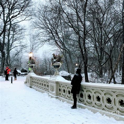 Bow Bridge in Winter Photograph by Miriam Danar - Pixels