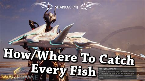 Warframe | How/Where To Catch Every Fish In Plains of Eidolon - YouTube