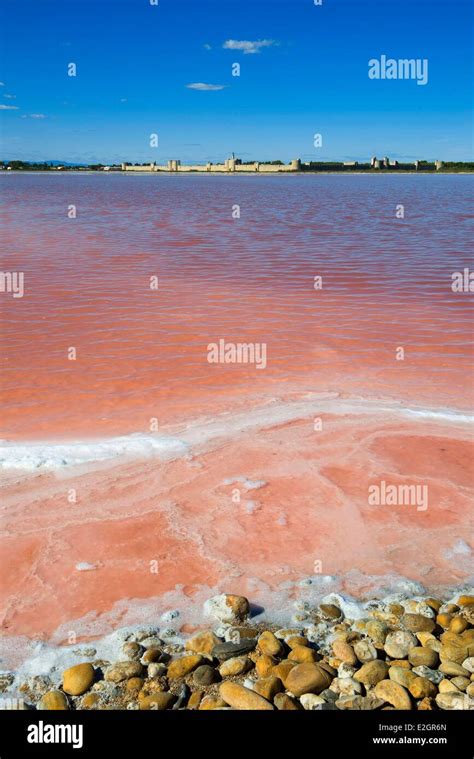 France Gard Aigues Mortes Compagnie des Salins du Midi which exploits salt marsh of Aigues ...