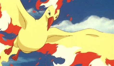 Moltres - Legendary Pokemon Image (14488929) - Fanpop