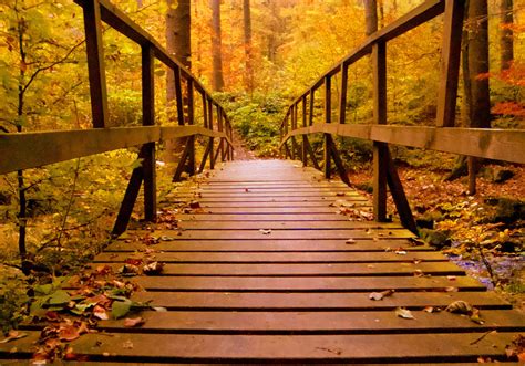 Bridge Autumn Wallpapers - Wallpaper Cave