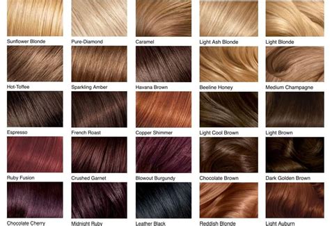 Hair Color Chart: Shades of Blonde, Brunette, Red & Black