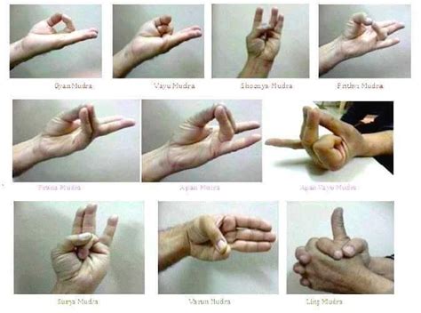 Pin by Usha Deshamudre on Fitness & Health | Mudras, Hand mudras, Yoga hands