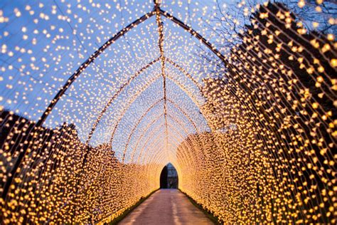 Christmas Light Tunnel Images – Browse 6,932 Stock Photos, Vectors, and Video | Adobe Stock