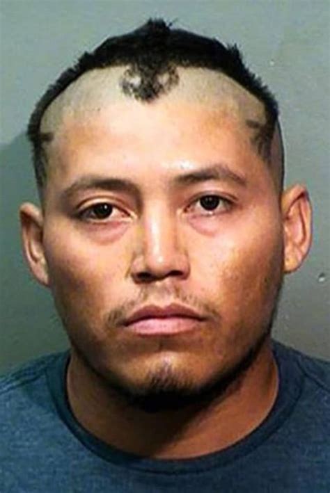 America's worst mugshot hairstyles | Daily Mail Online