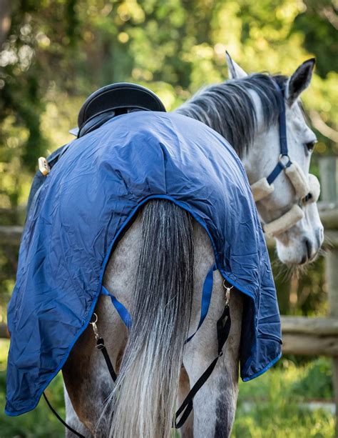 Waterproof Horse Blankets | Waterproof Quarter Sheet- Creature Comforts