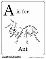 25  Elegant Image Of Ant Coloring Page Preschool Alphabet Printables sketch template