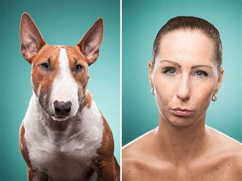 27 Funny Photos Of Dogs Who Look Just Like Their Owners. | Dog people, Dog owners, Dogs