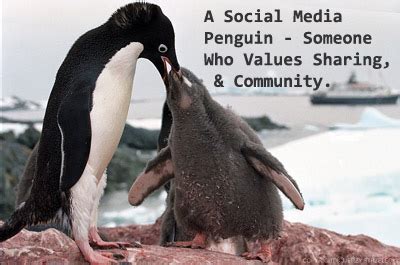 Are You A Social Media Swan?