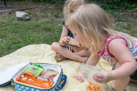 5 Peanut Butter & Jelly Variations for Field Trip Lunches (+ Tips)