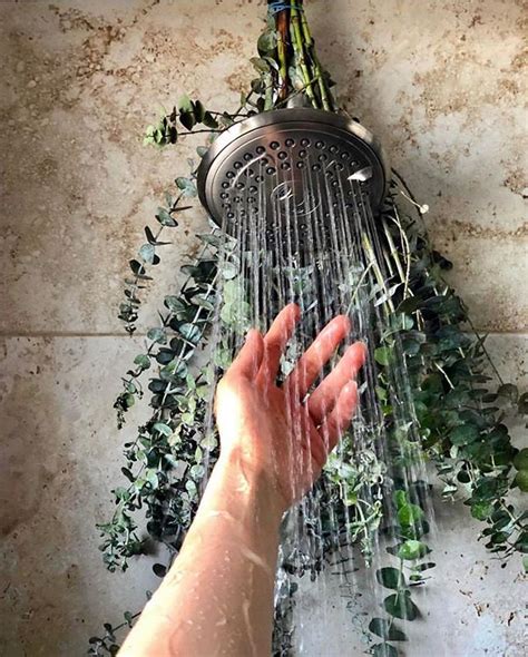 What is Eucalyptus Shower & Why is it a Popular Instagram Trend