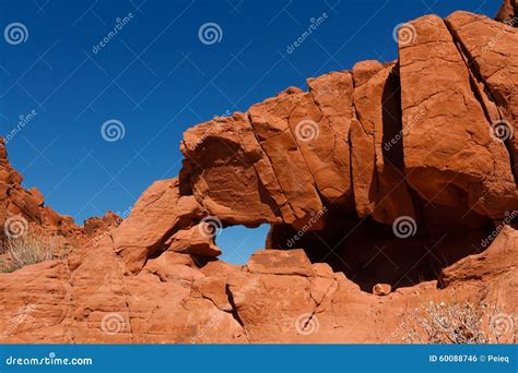 Elephant Seal Rock in Valley of Fire State Park Stock Photo - Image of landscape, sandstone ...