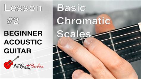 Beginner Guitar Chromatic Scale // Lesson 2 // Beginner Guitar Lesson ...