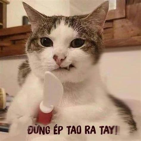 Ảnh Meme Cầm Súng: Cười không ngậm được miệng với bộ sưu tập này ...