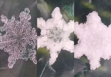 Snow and ice pellets — the other types of frozen precipitation - Windy.app