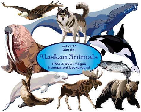 Wild Animals Clip Art SVG Clipart Animals Clip Art Alaska - Etsy