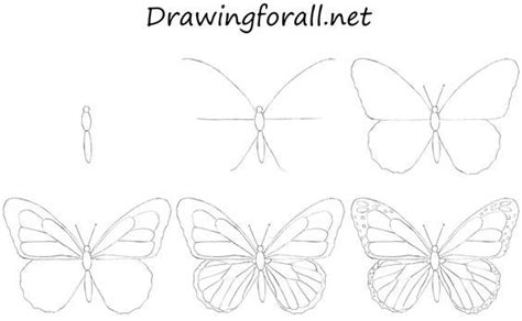 How to Draw a Butterfly for Beginners | Butterfly drawing, Butterfly art drawing, Easy butterfly ...