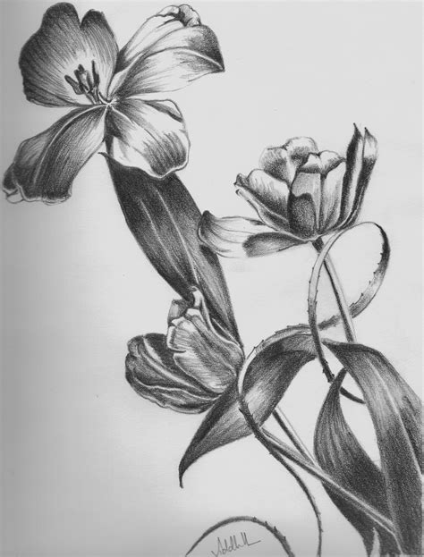Flower Shading Drawing at PaintingValley.com | Explore collection of ...