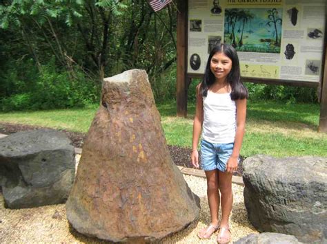 The Gilboa Museum - Devonian Forest Fossils! - A Trip to the Museum ...