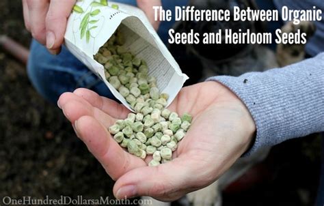 The Difference Between Organic Seeds and Heirloom Seeds - One Hundred ...