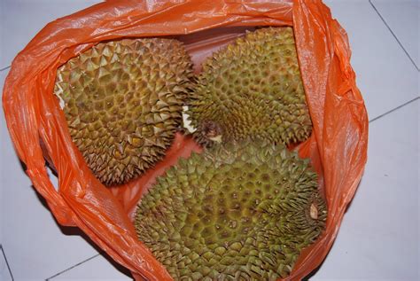 Makan durian