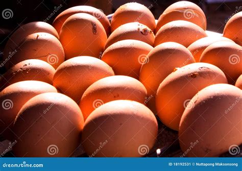 Egg grill stock image. Image of beginning, fresh, concept - 18192531