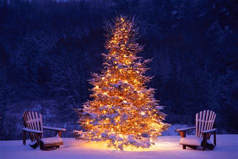 Christmas Trees HD Wallpapers - Wallpaper Cave