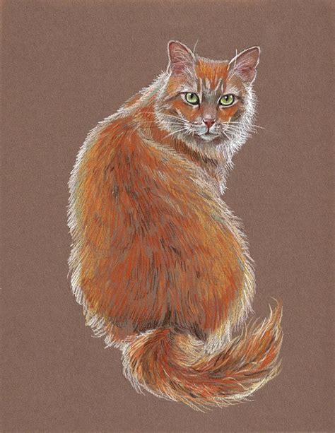 The white cat - felt and colored pencil - unique drawing - art ...
