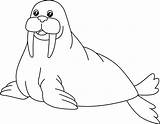 Walrus Coloring Page Isolated For Kids 5163280 Vector Art At Vecteezy sketch template