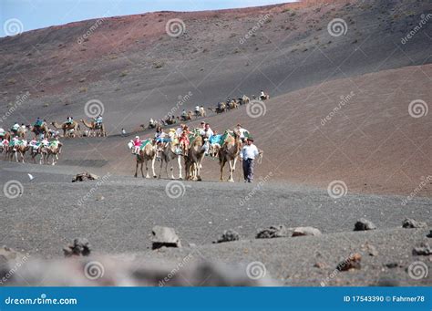 Timanfaya National Park editorial image. Image of vacation - 17543390