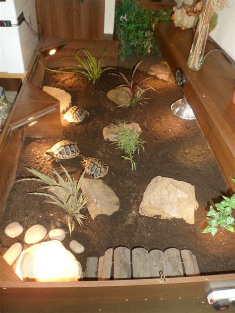 how to build an indoor tortoise habitat Indoor tortoise enclosure - Life Style Of The Worlds