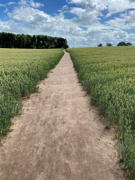 Brown dirt road between green grass field during daytime photo – Free ...