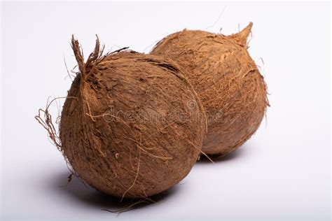 Two Big Brown Whole Coconuts Close Up Copy Space on Whi Stock Photo ...