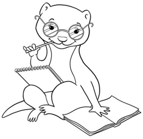 Search for Ferret drawing at GetDrawings.com