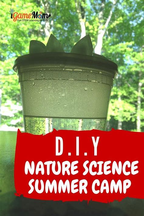 DIY Nature Science Summer Camp at Home