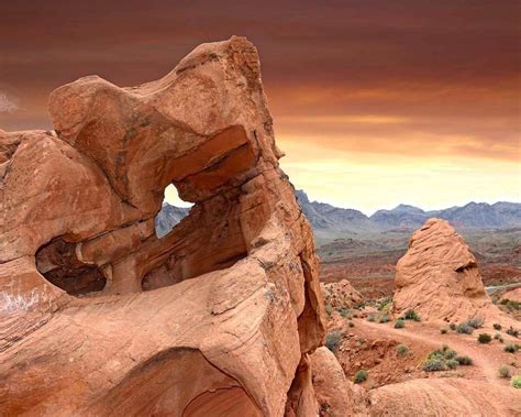 Hikes Near Las Vegas: The 5 Best Hikes You Have to Try