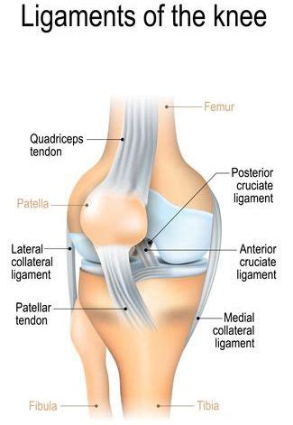 Sprained Knee Treatment in NJ | Pain Management Doctors